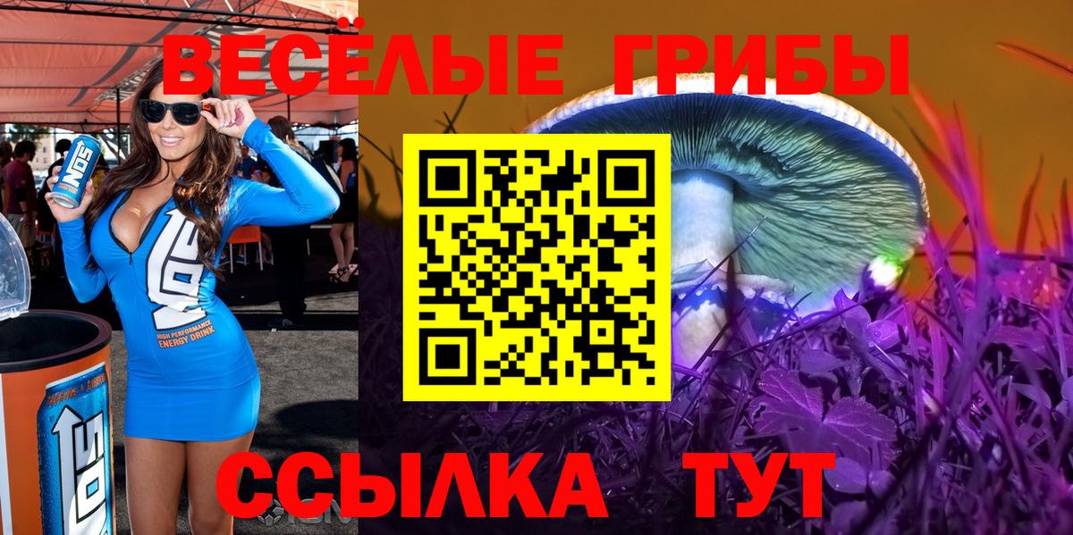 Галлюциногенные грибы мухоморы Радужный