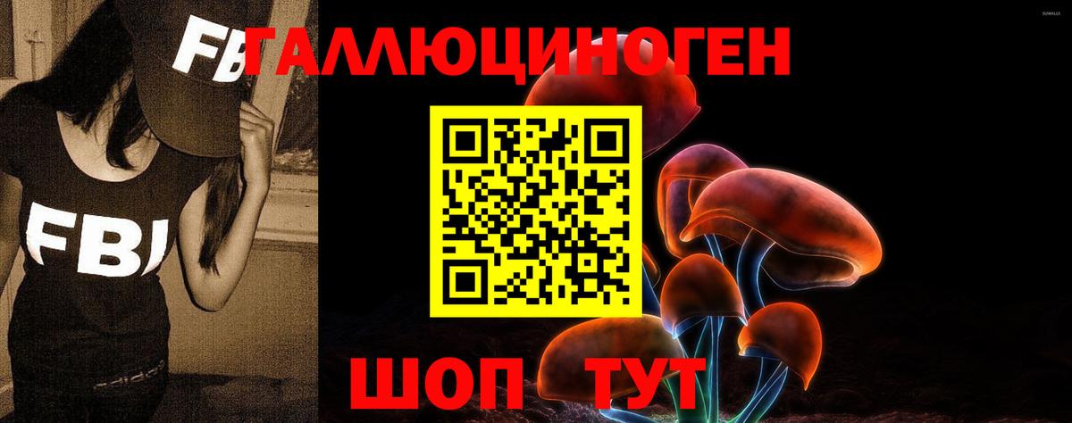 дарнет шоп  Вход с VPN  Псилоцибиновые грибы мицелий  Радужный  Галлюциногенные грибы мухоморы 